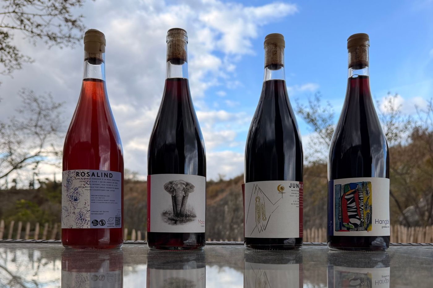 Bouteilles de Rosalind, Maia, Junko et Hangbé alignées sur une table qui reflète le ciel