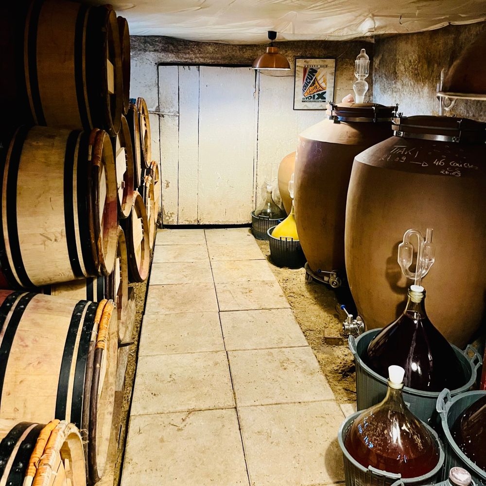 Le chai : barriques empilées, jarres de grès et dames-jeannes en cours d'élevage