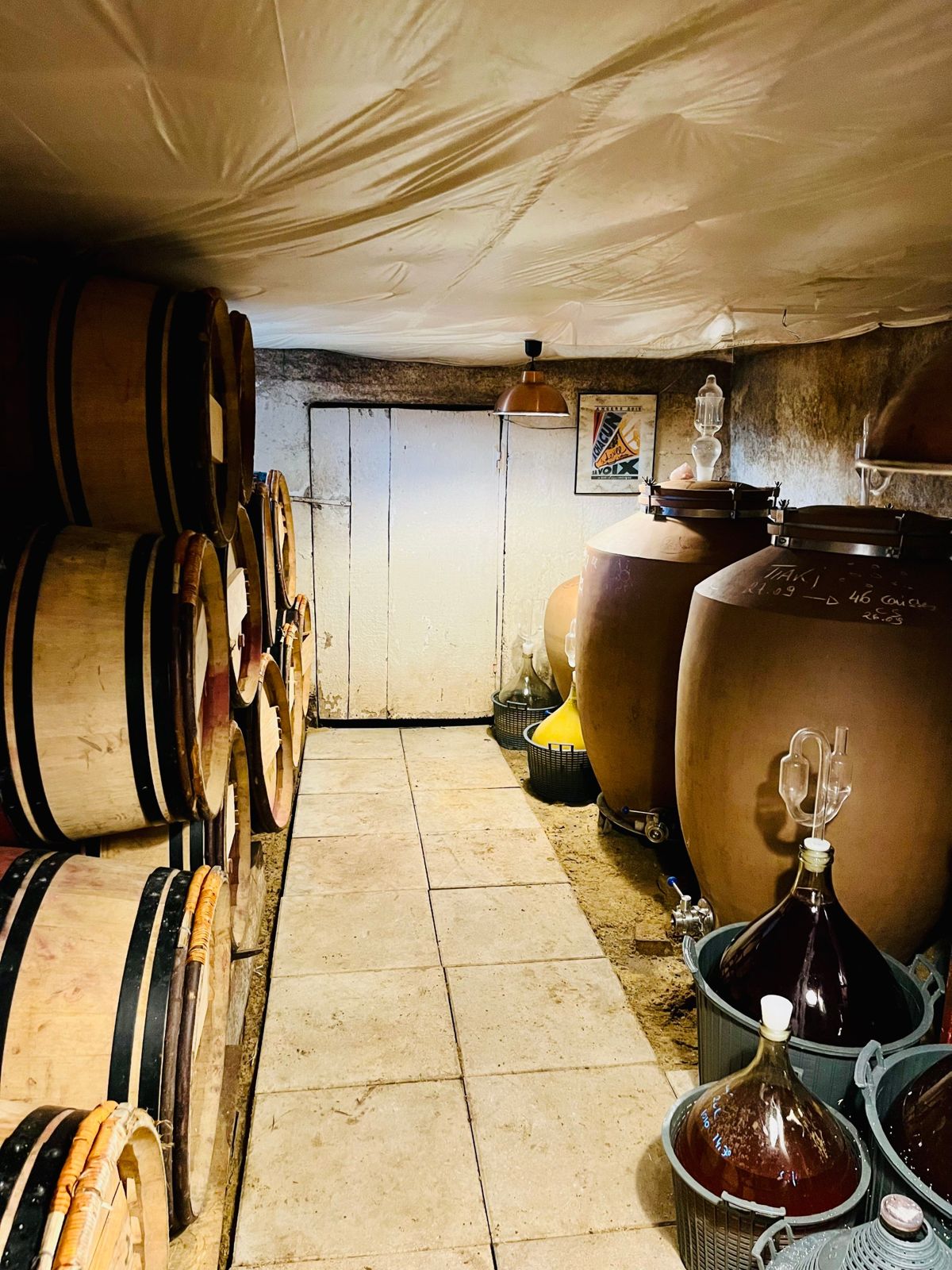 Le chai : barriques empilées, jarres de grès et dames-jeannes en cours d'élevage